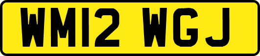 WM12WGJ