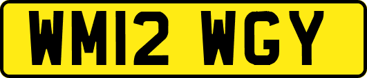 WM12WGY