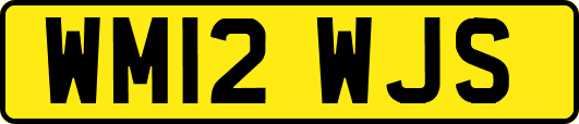 WM12WJS
