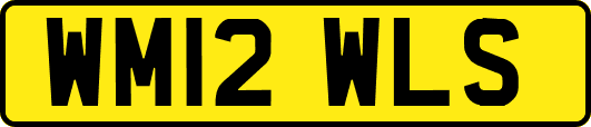 WM12WLS