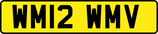 WM12WMV