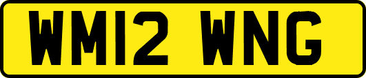 WM12WNG