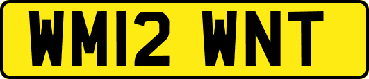 WM12WNT