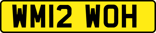 WM12WOH