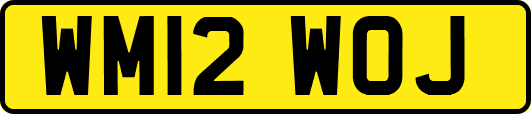 WM12WOJ