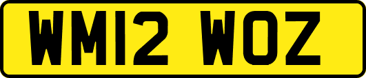 WM12WOZ