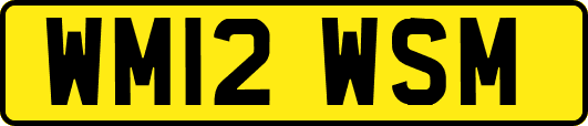 WM12WSM