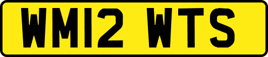 WM12WTS