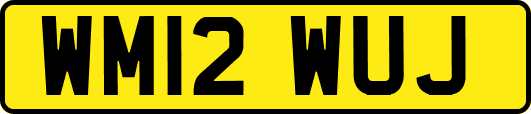 WM12WUJ