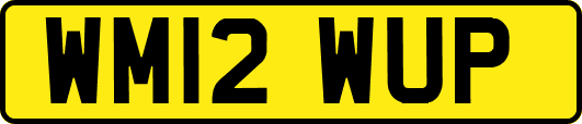WM12WUP