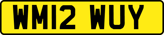 WM12WUY