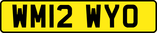 WM12WYO