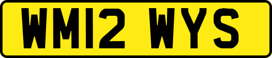 WM12WYS