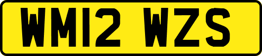 WM12WZS