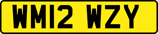 WM12WZY