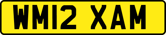 WM12XAM