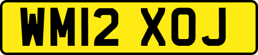WM12XOJ