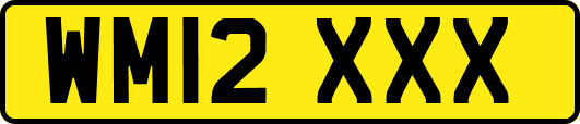 WM12XXX
