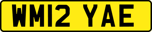WM12YAE