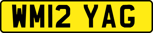 WM12YAG