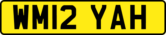 WM12YAH