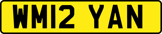 WM12YAN