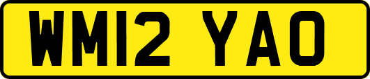 WM12YAO