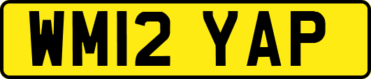 WM12YAP
