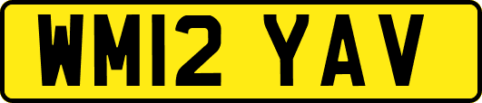 WM12YAV