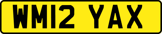 WM12YAX