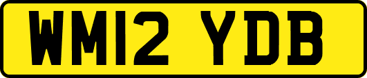 WM12YDB