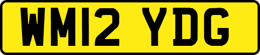 WM12YDG