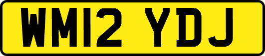 WM12YDJ