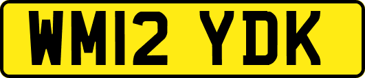 WM12YDK