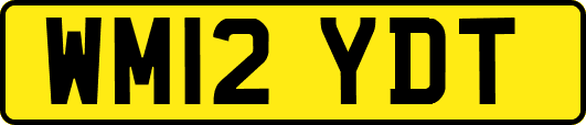 WM12YDT