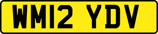 WM12YDV