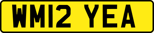 WM12YEA