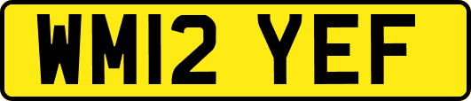 WM12YEF