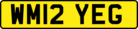 WM12YEG
