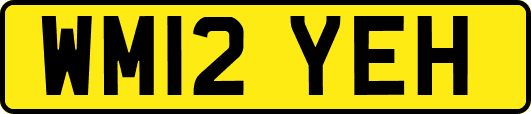 WM12YEH