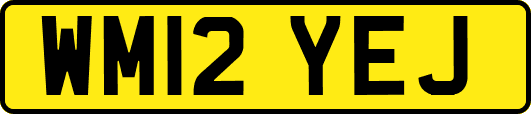 WM12YEJ