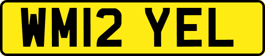 WM12YEL