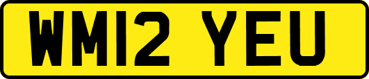 WM12YEU