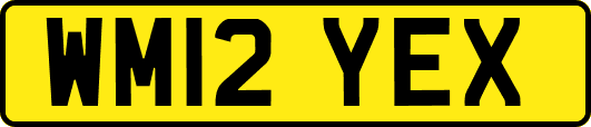 WM12YEX
