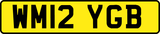 WM12YGB