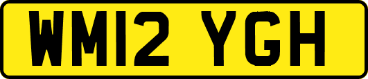 WM12YGH