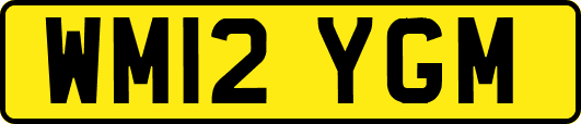 WM12YGM