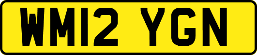 WM12YGN