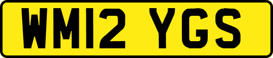WM12YGS