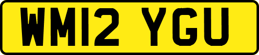 WM12YGU